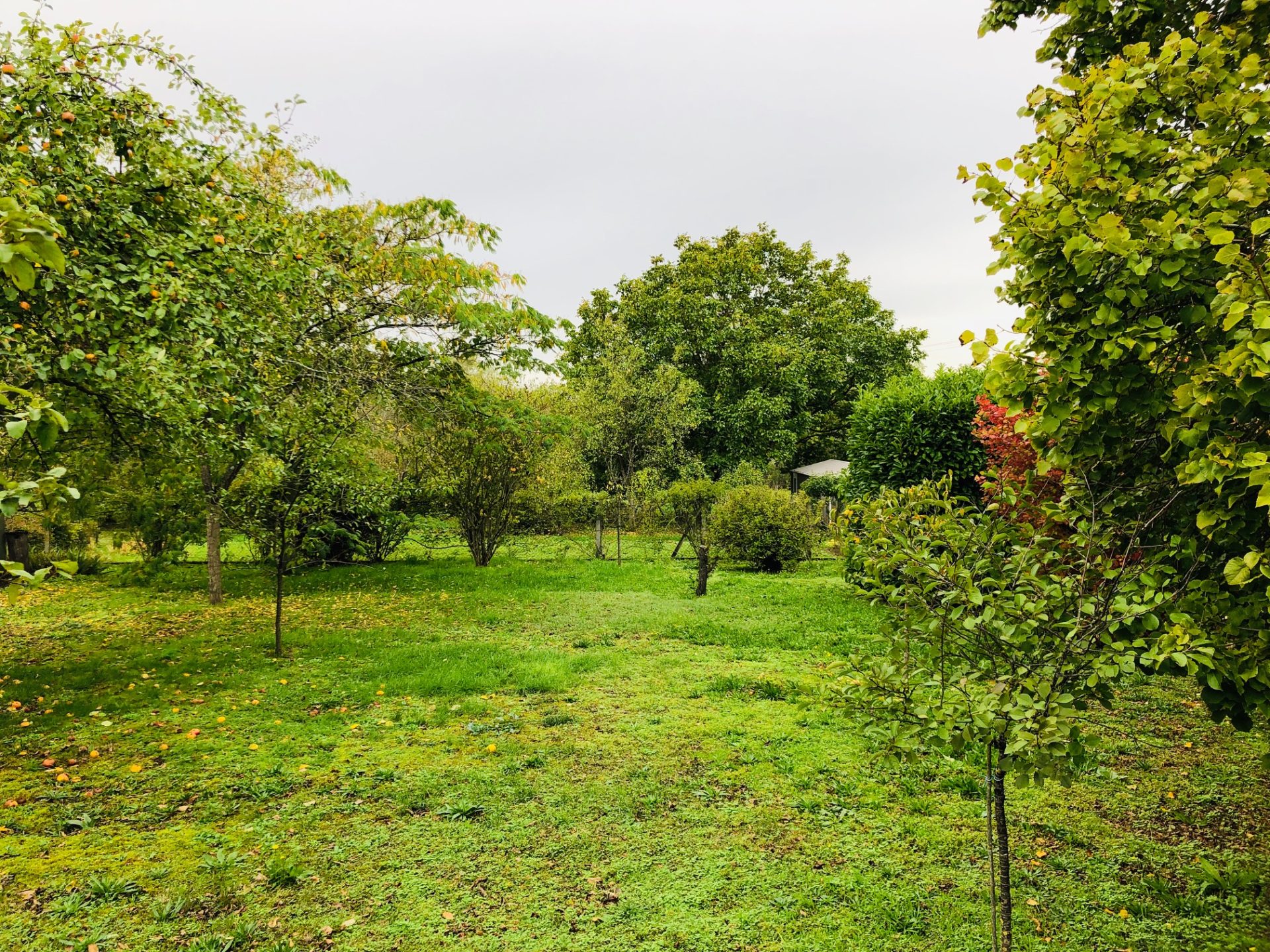 Terrain constructible de 1200m²